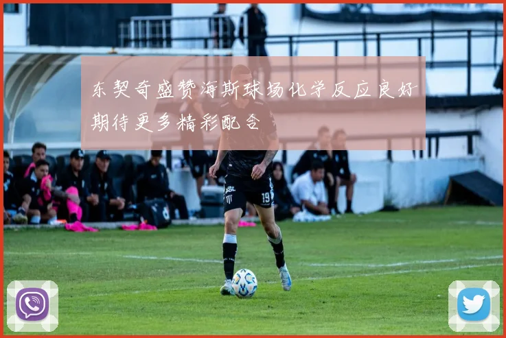 东契奇盛赞海斯球场化学反应良好期待更多精彩配合