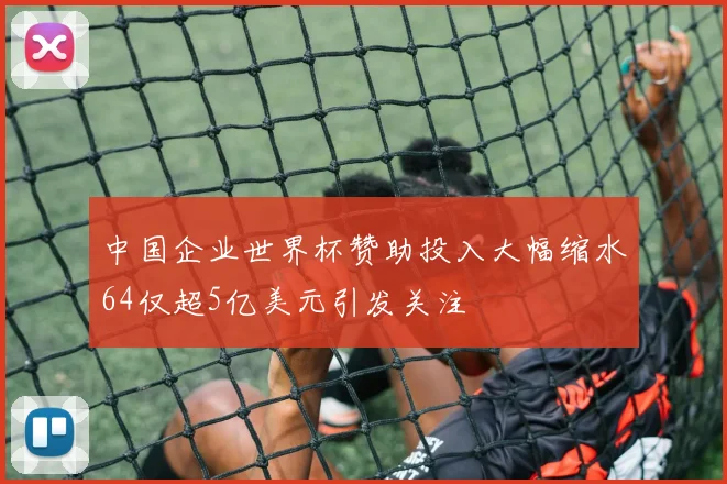 中国企业世界杯赞助投入大幅缩水64仅超5亿美元引发关注
