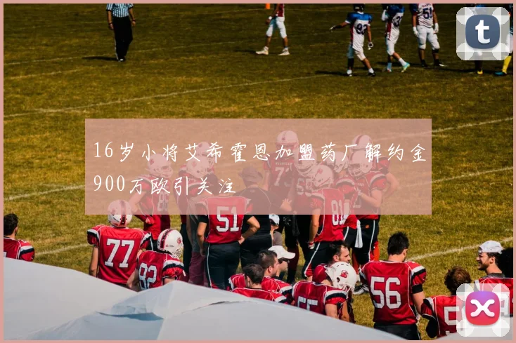 16岁小将艾希霍恩加盟药厂解约金900万欧引关注